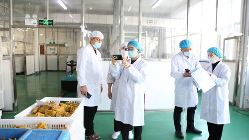 大連自貿片區推出食品生產加工“5G+AR”智慧監管新模式，賦能健康管理與咨詢